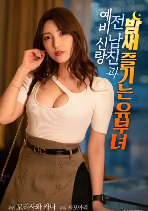 猫的报恩 动画海报